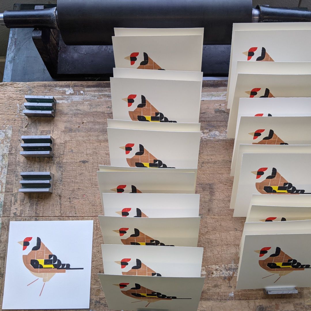 twenty prints of the Goldfinch in progress are standing up to dry.