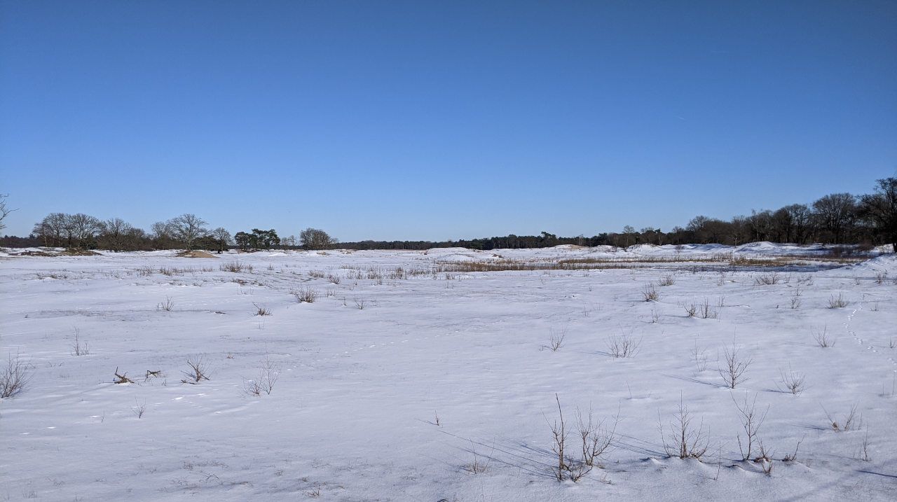 a snow covered flat landscape, with a bright blue sky.