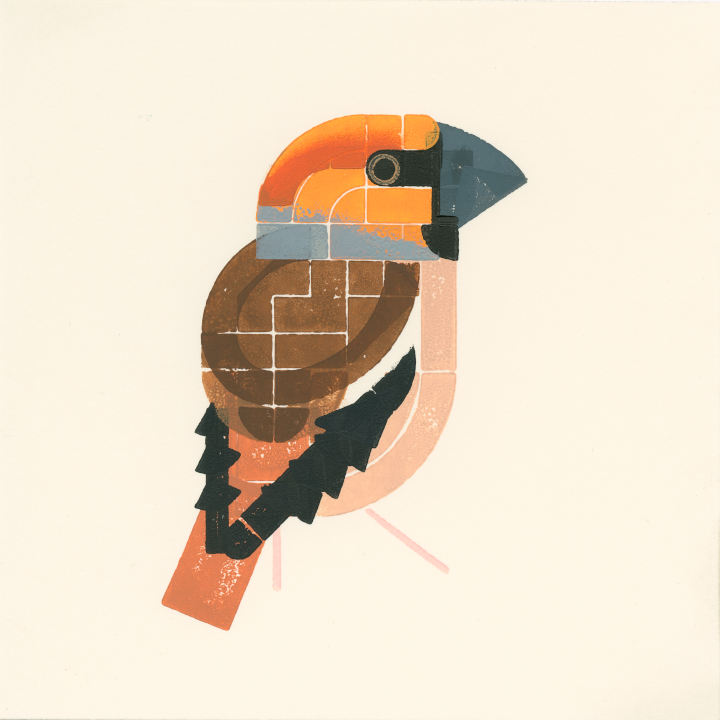 Print of a bird with very heavy beak, orange head, brown back and black wing tips