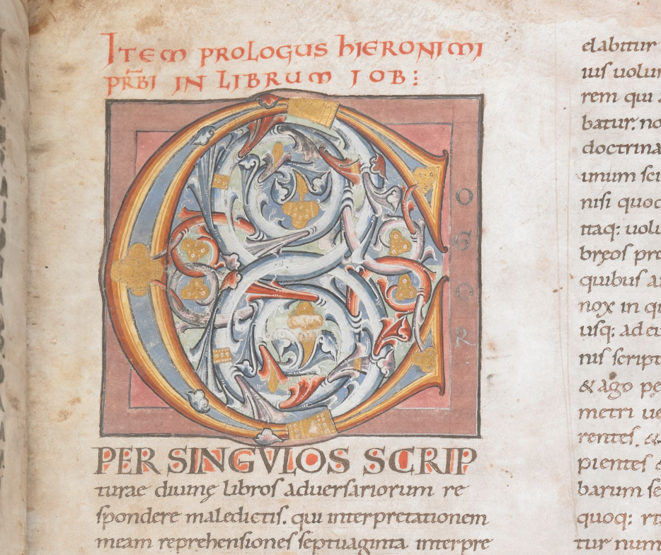 Initial letter C decorated with interlacing scrolls of acanthus.