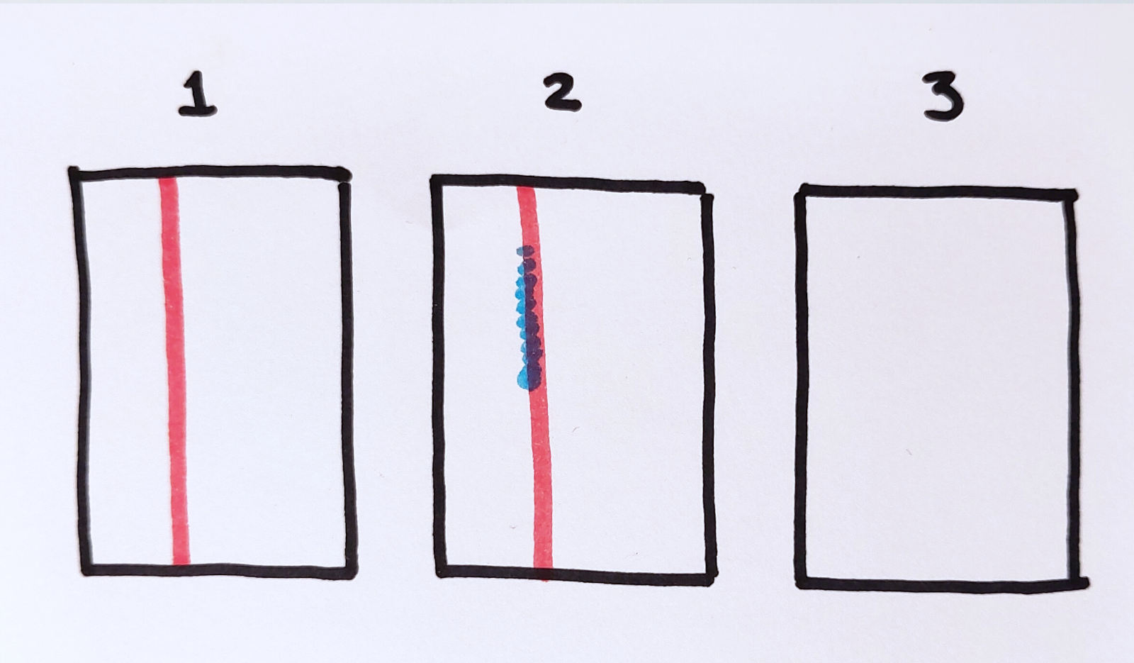 Layout sketch of three small rectangular boxes in portrait orientation. Numbered 1 to 3 along the top. The left box has a pinkish red line from top to bottom, somewhat left of center. The second box adds a blue bit onto the top part of the red line. The third box is still empty.