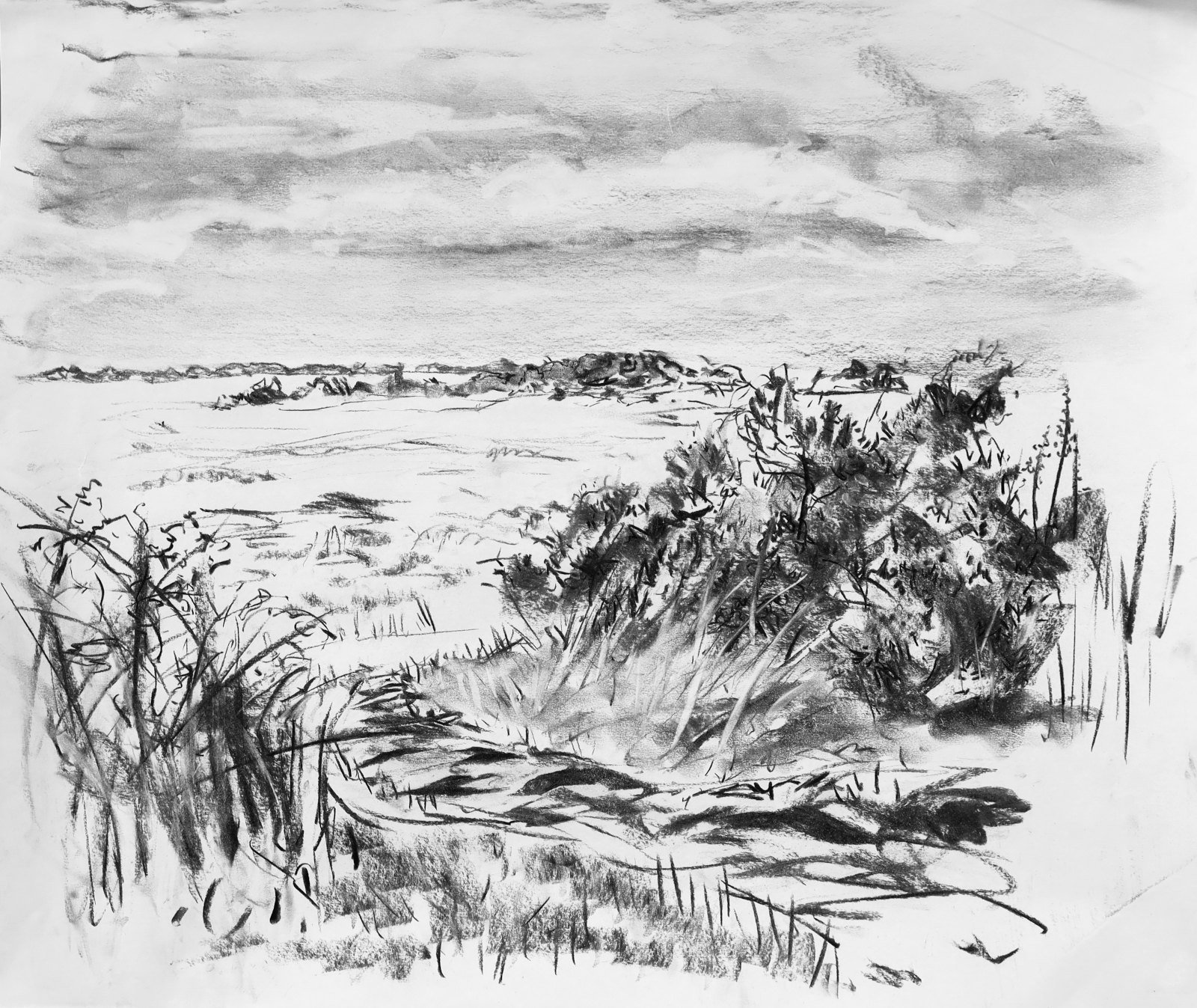 charcoal drawing of a path leading down onto a field with dunes in the background and cloudy skies.