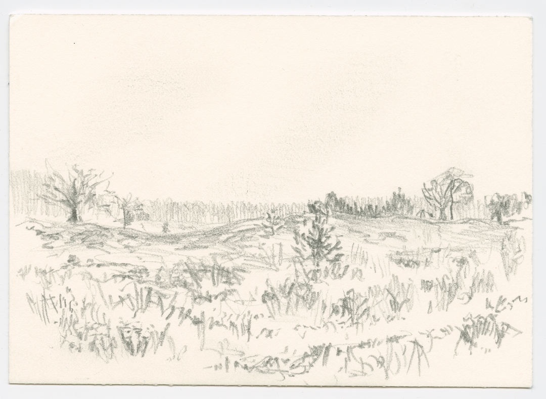 Small pencil drawing in landscape orientation of a view over heath, with some trees on both sides in the middle distance and far away a vague suggestion of a line of trees spanning the full width of the image.