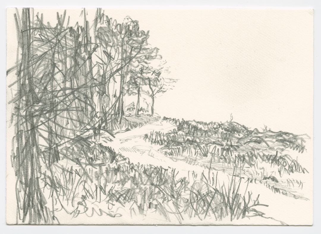 Small pencil drawing in landscape orientation of, indeed, a landscape with trees on the left.